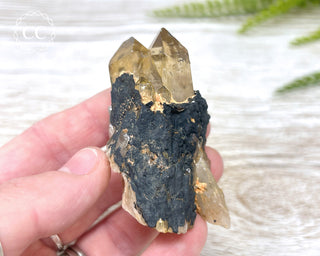 Congo Citrine #5