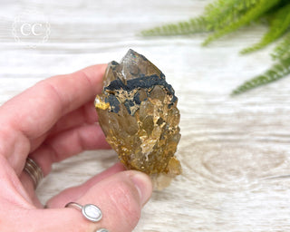 Congo Citrine #2