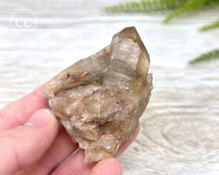 Congo Citrine #6