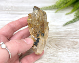 Congo Citrine #2
