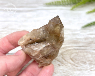Congo Citrine #6