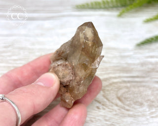 Congo Citrine #6