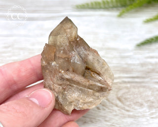 Congo Citrine #6
