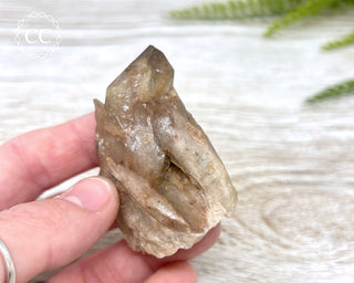 Congo Citrine #6