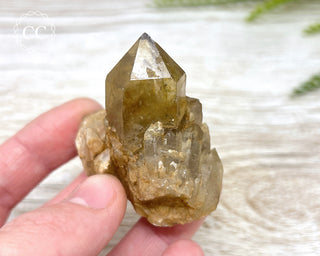 Congo Citrine #7