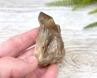 Congo Citrine #6