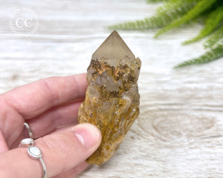 Congo Citrine #1