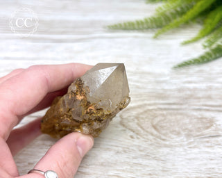 Congo Citrine #1