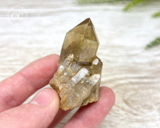 Congo Citrine #7