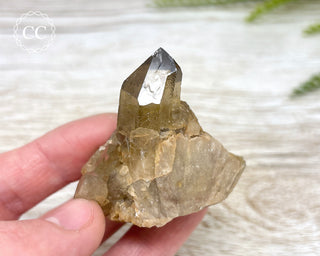 Congo Citrine #7