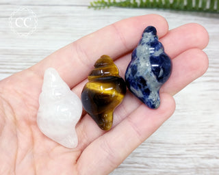Crystal Shell carvings