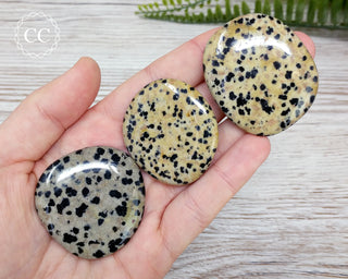 Dalmatian Stone Palm Stone