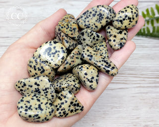 Dalmatian Stone Tumbled Crystal
