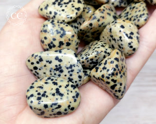 Dalmatian Stone Tumbled Crystal