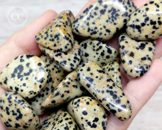 Dalmatian Stone Tumbled Crystal