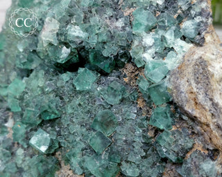 Diana Maria Fluorite #2