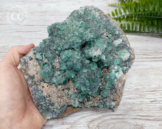 Diana Maria Fluorite #2