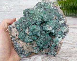 Diana Maria Fluorite #2