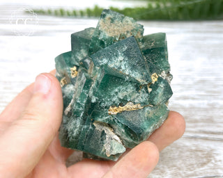 Diana Maria Fluorite #17