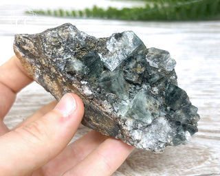 Diana Maria Fluorite #18