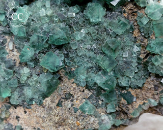 Diana Maria Fluorite #2