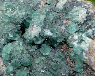 Diana Maria Fluorite #2