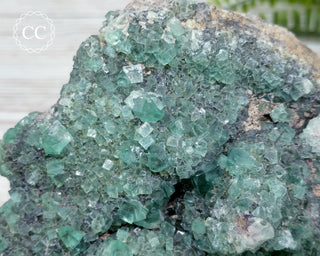Diana Maria Fluorite #2