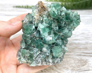Diana Maria Fluorite #1