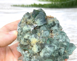 Diana Maria Fluorite #7
