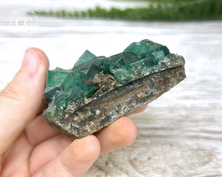 Diana Maria Fluorite #10