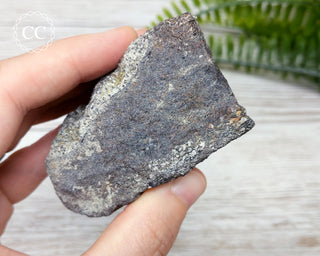 Dinosaur Bone Fossil #5