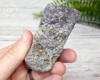Dinosaur Bone Fossil #5