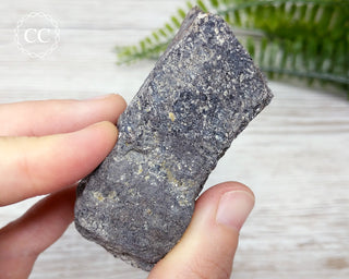 Dinosaur Bone Fossil #5
