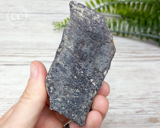 Dinosaur Bone Fossil #5