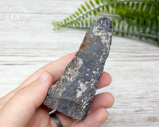 Dinosaur Bone Fossil #5