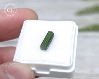 Diopside Crystal #12