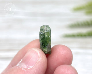Diopside Crystal #1
