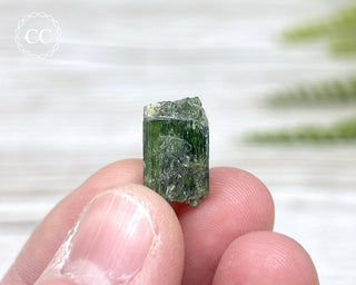 Diopside Crystal #1
