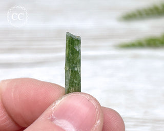 Diopside Crystal #8