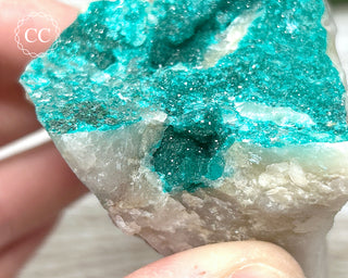 Dioptase Specimen - Namibia #1