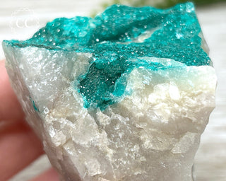 Dioptase Specimen - Namibia #1