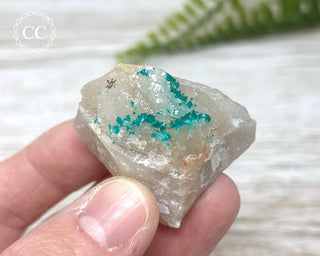 Dioptase Specimen - Namibia #12