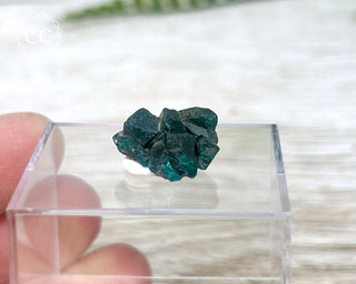 Dioptase #10
