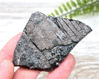 Dragon Scale Obsidian #15