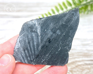 Dragon Scale Obsidian #15