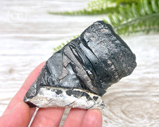 Dragon Scale Obsidian #6