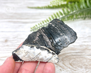Dragon Scale Obsidian #6