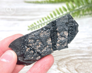 Dragon Scale Obsidian #8