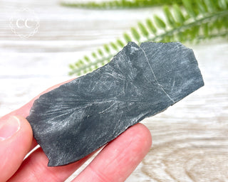 Dragon Scale Obsidian #8