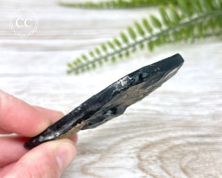 Dragon Scale Obsidian #9